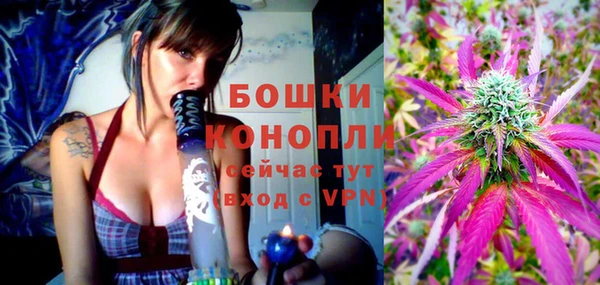 винт Аркадак