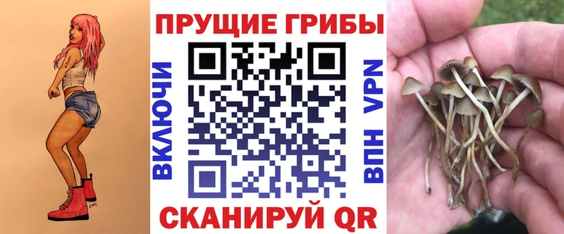 даркнет сайт  Белёв  Псилоцибиновые грибы Cubensis 